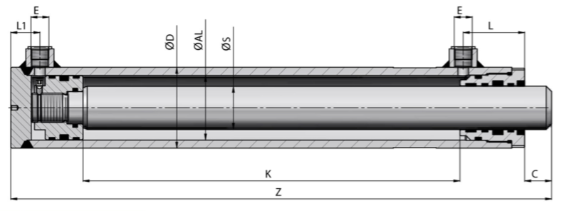 Hydraulikzylinder DW100/60-1000 1