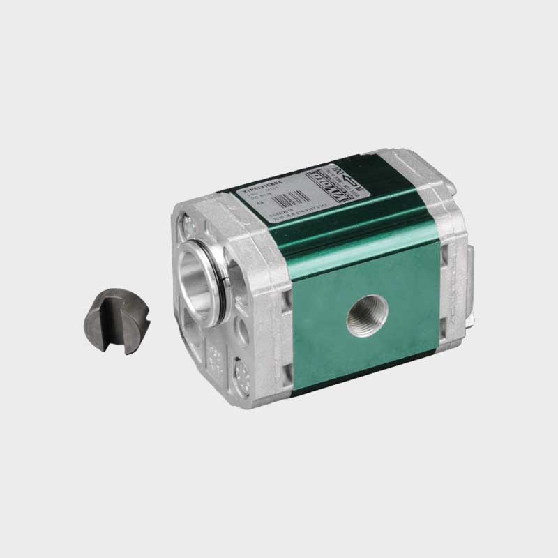 Zahnradpumpe XV1P/0,9D-BH-Ø32-CF.001-3/8-3/8 1 Zahnradpumpe XV1P/0,9D-BH-Ø32-CF.001-3/8-3/8 1