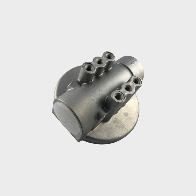 Leitungsfiltergehäuse MF 160 2 Filterkopf-MF-160-AGE-xxx-a-0-8