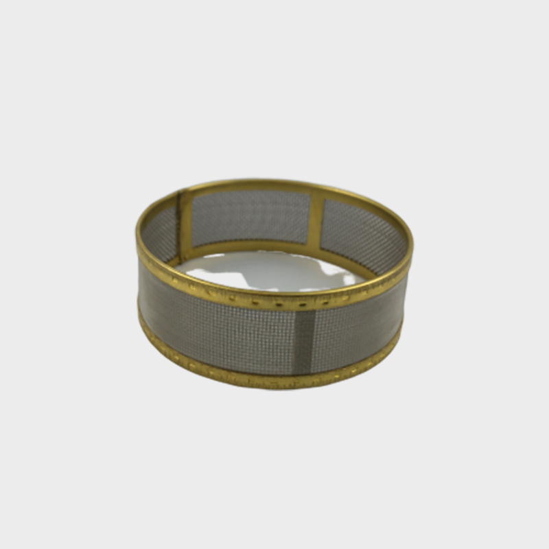 Filterlement Sieb D020.1301S 1 argo-hytos-filter-d0