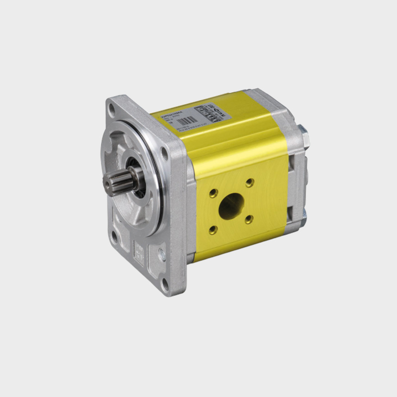 zahnradpumpe-012-080